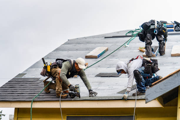 Professional Emergency Roof Repair technician working in Womelsdorf, PA